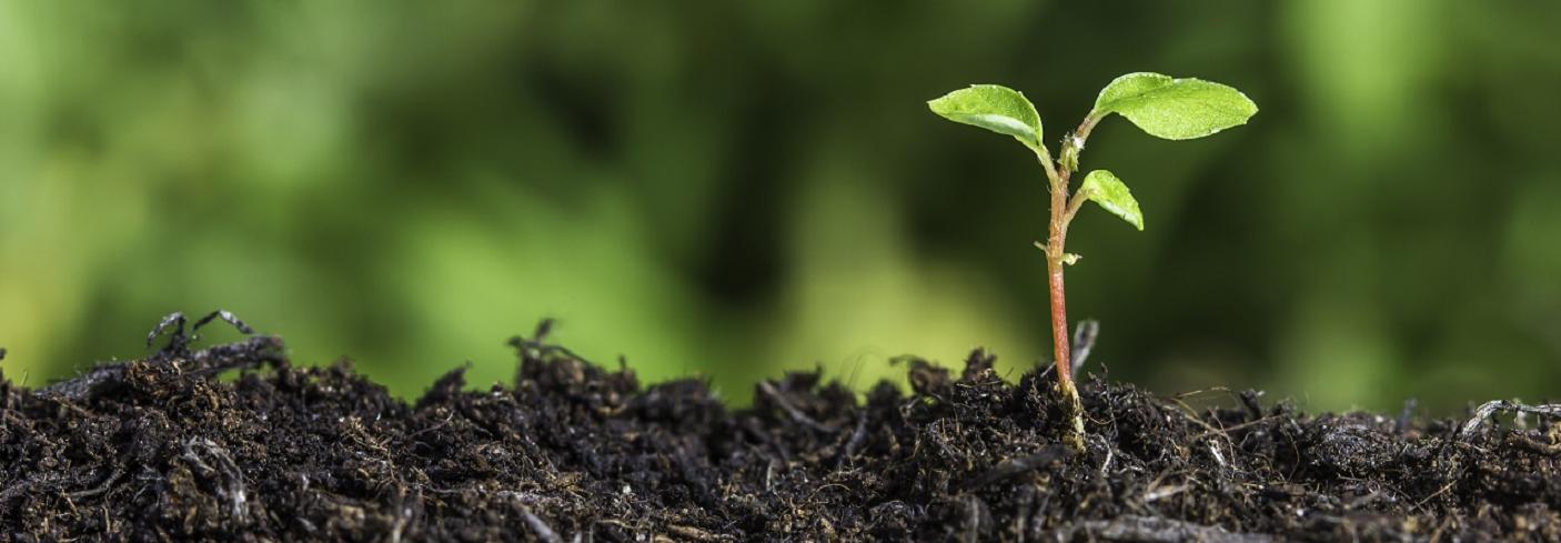 Improve your finance and accounting practices