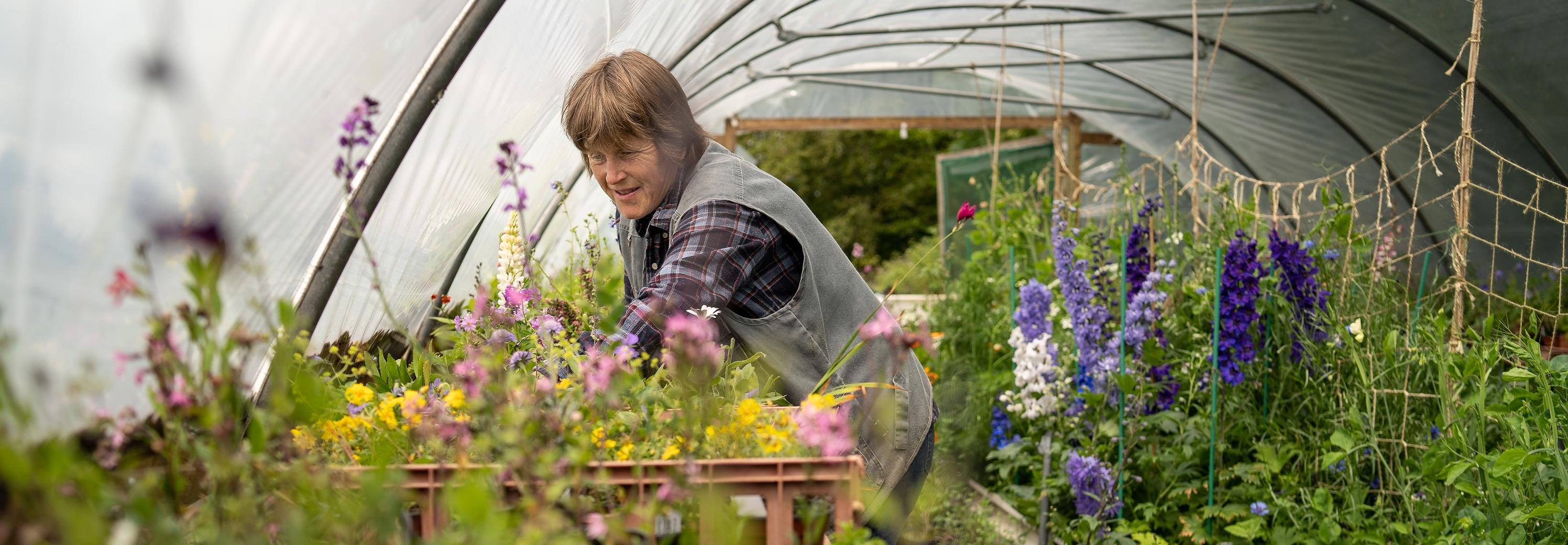 Should we say no to floral foam?