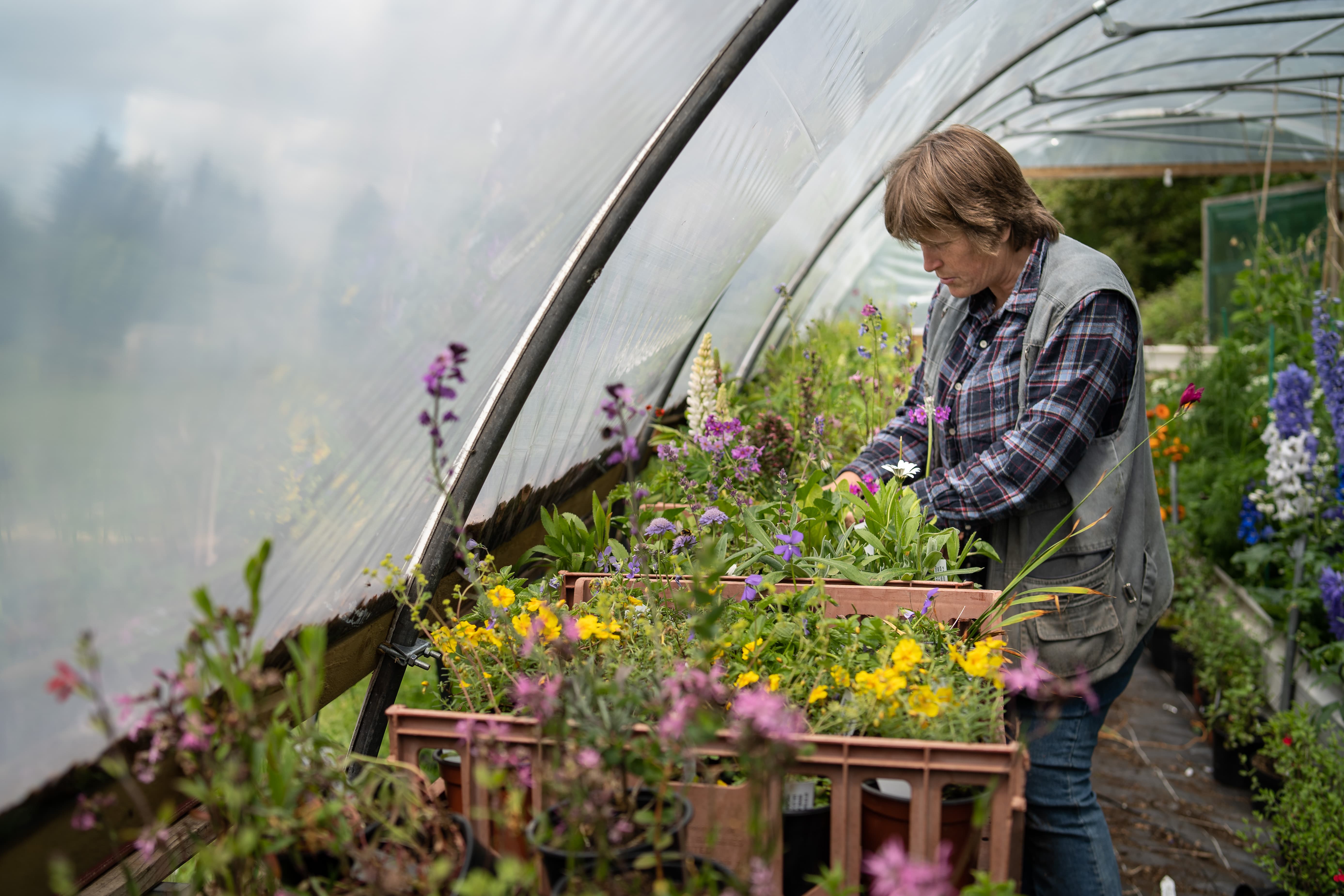 Pick Your Own (PYO) Flowers – Diversification Opportunities