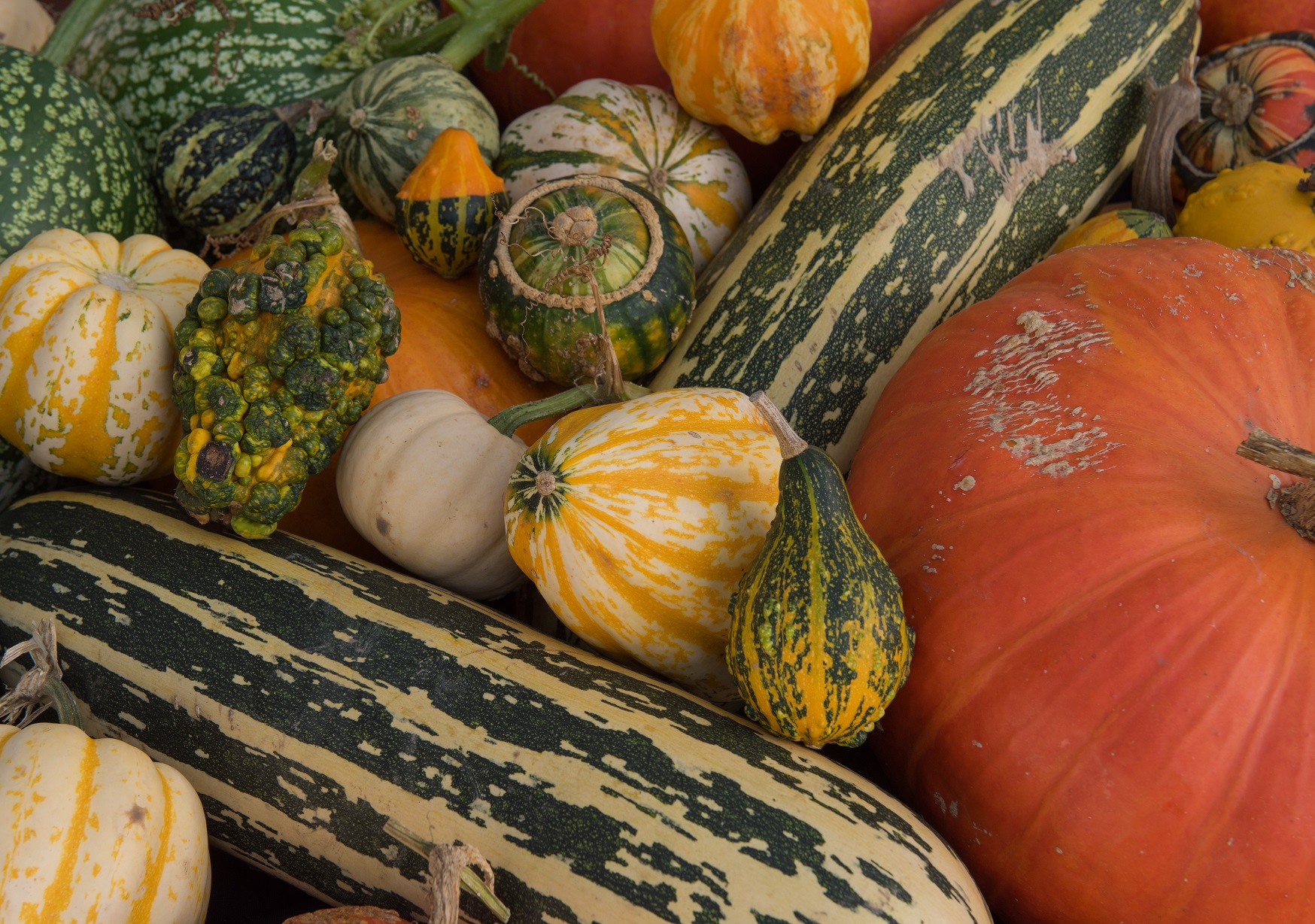 Pick your Own (PYO): What you need to know to get 5* rated (part 2)