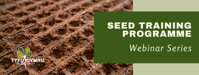 Seed Training Programme - Selection of crops for seed