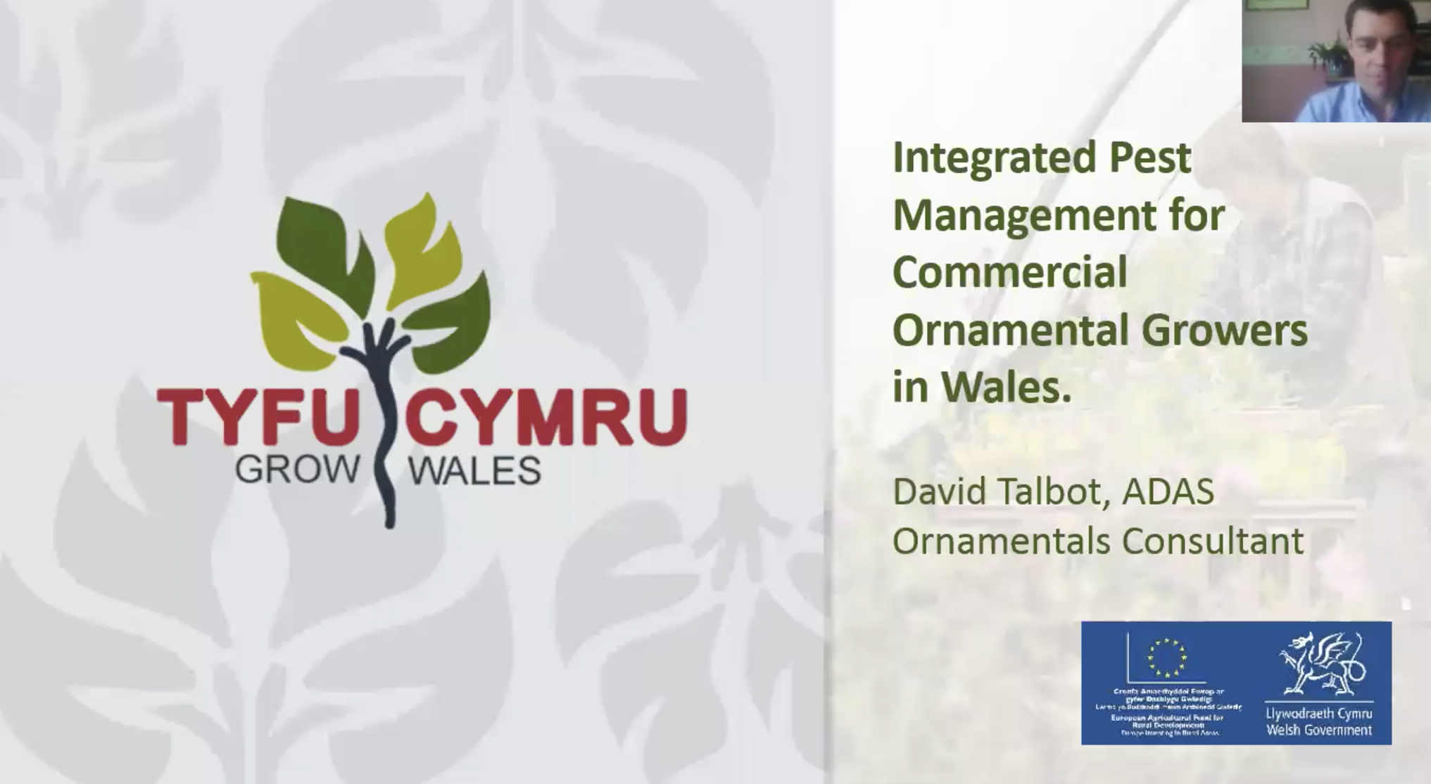 Screenshot 2020-06-29 at 13.26.50.png