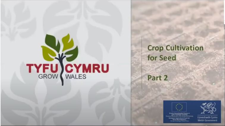 crop cultivation.JPG