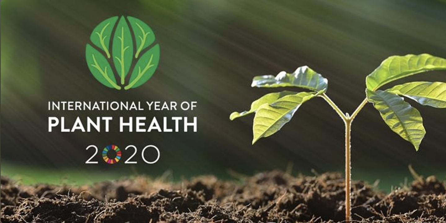 Screenshot 2020-09-11 at 10.20.43.png