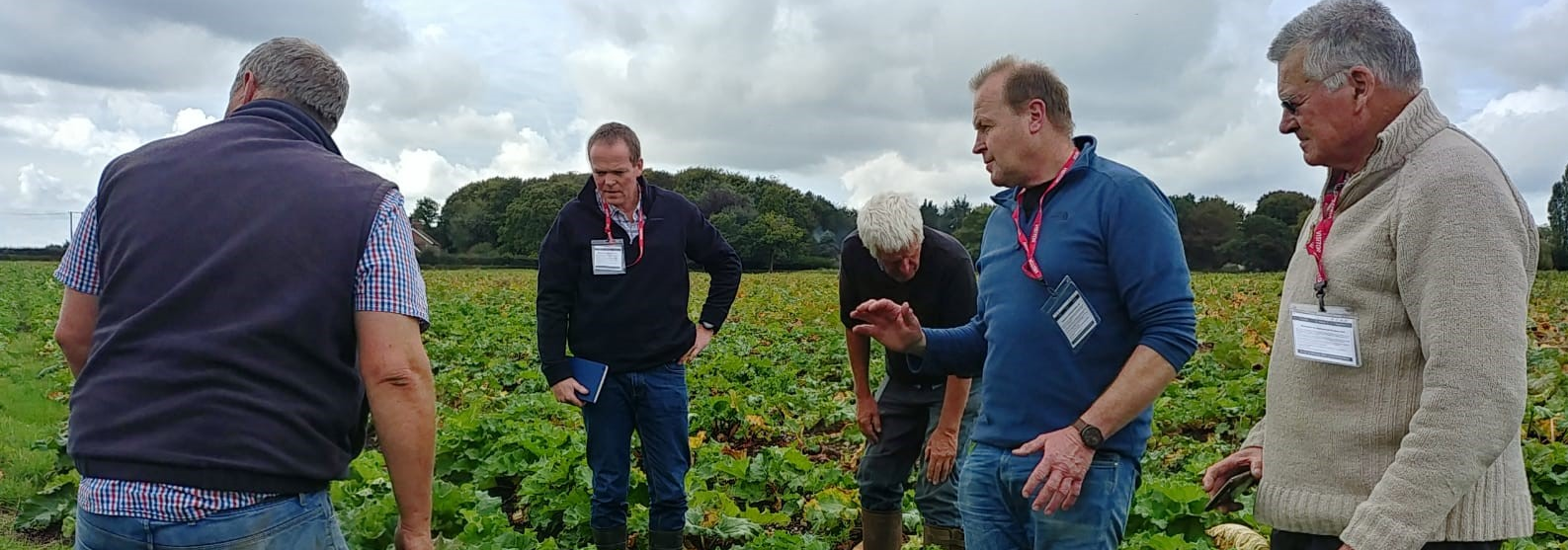 Trip Astudio’r Rhwydwaith Llysiau 