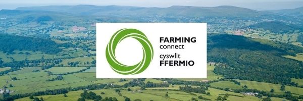 Canllaw i dyfwyr ar gofrestru gyda Cyswllt Ffermio