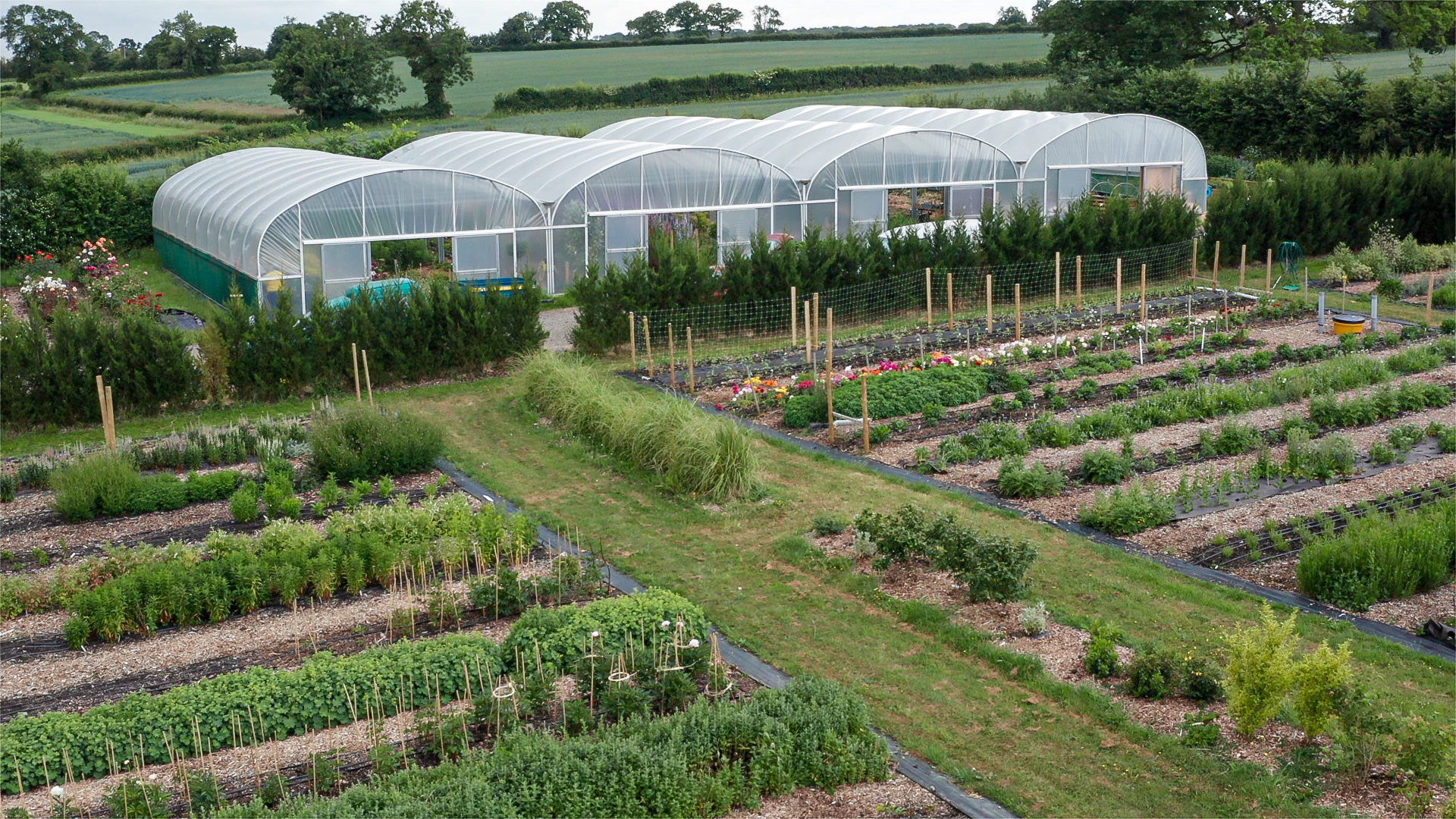 Gwneud i’ch busnes sefyll allan o’r dorf