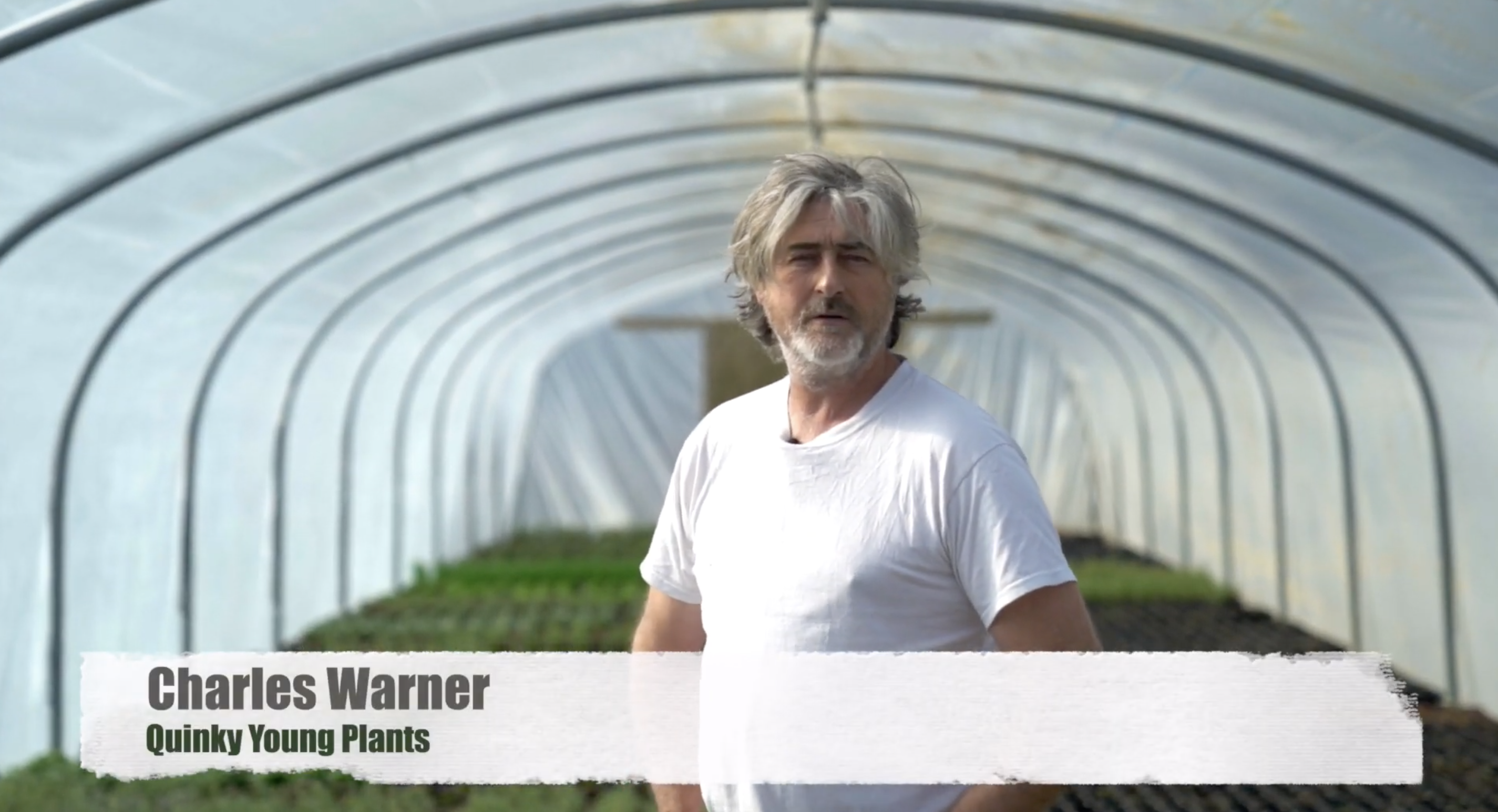 Screenshot 2022-03-11 at 16.47.21.png