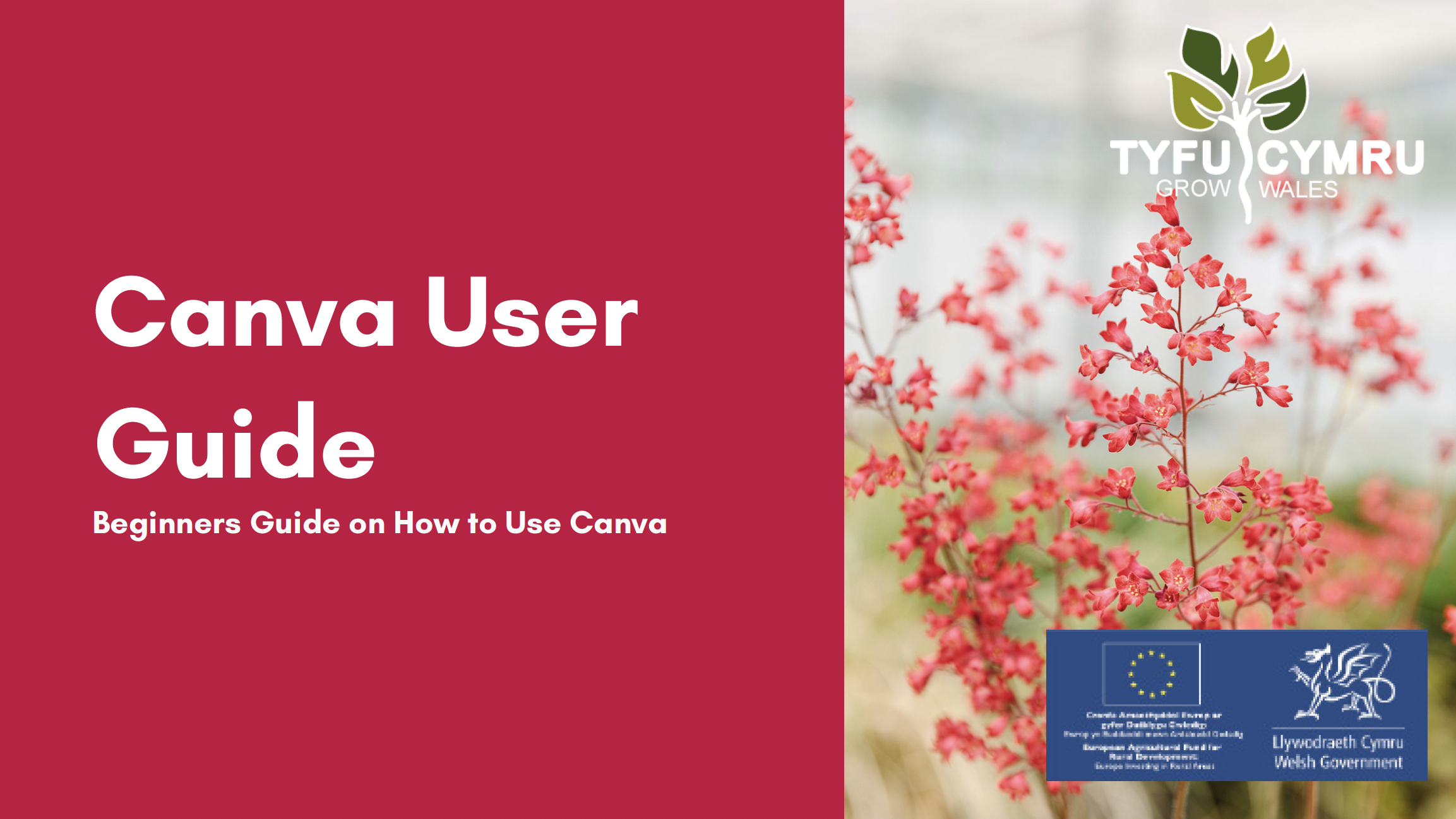 Canva: User Guide