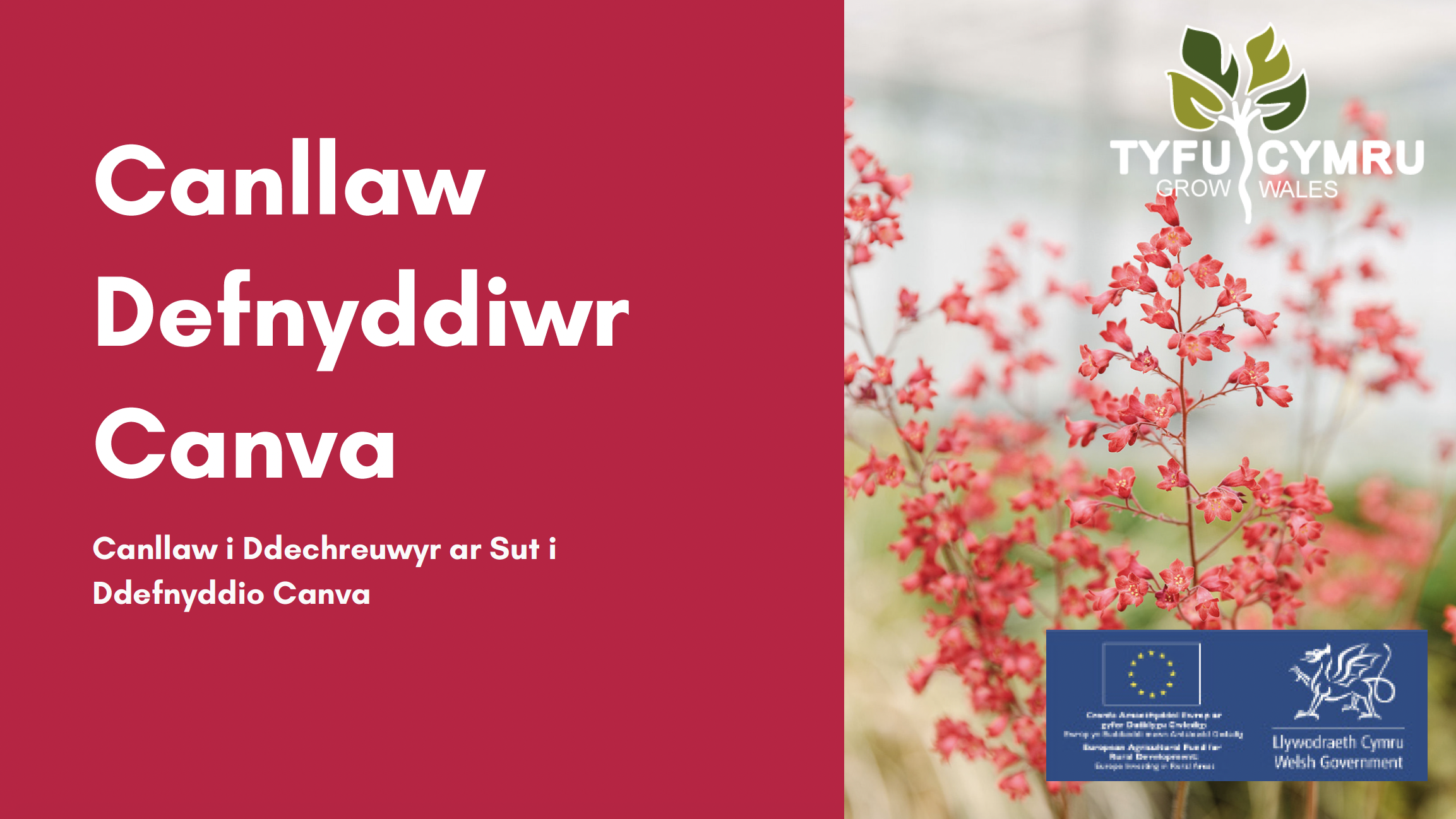 Canllaw Defnyddiwr Canva